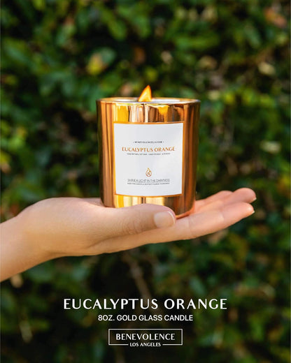 Benevolence Candles Eucalyptus Orange Wood Wick Candles, Soy Scented Candles for Women | 8 Oz Scented Candles for Home Scented | Eucalyptus Candles | Christmas Candles | Men Candles, Bathroom Candle